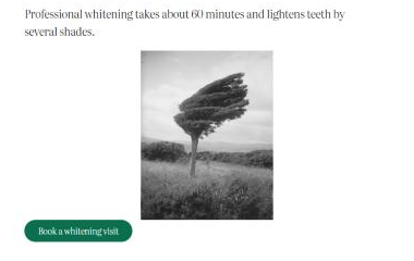 An Elementor button reading Book a whitening visit, now dark green with fully rounded corners, under a photo on the test page
