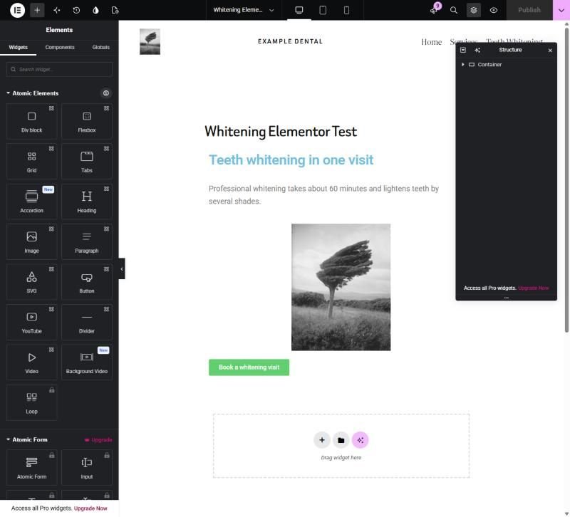Elementor editor widget panel with free widgets like Heading, Image, Button and Video, and locked Pro items like Loop and Atomic Form with an Upgrade label
