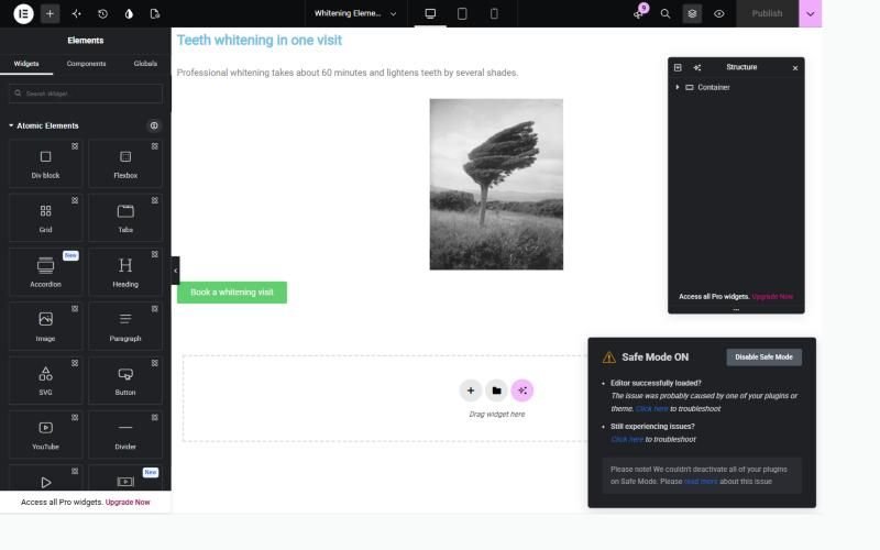 Elementor editor loaded in Safe Mode, showing the test page and a Safe Mode ON box saying the issue was probably caused by one of your plugins or theme